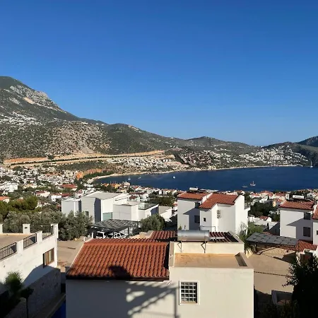 Rosa Is A Lovely, Modern 2 Bedroom Apartment.